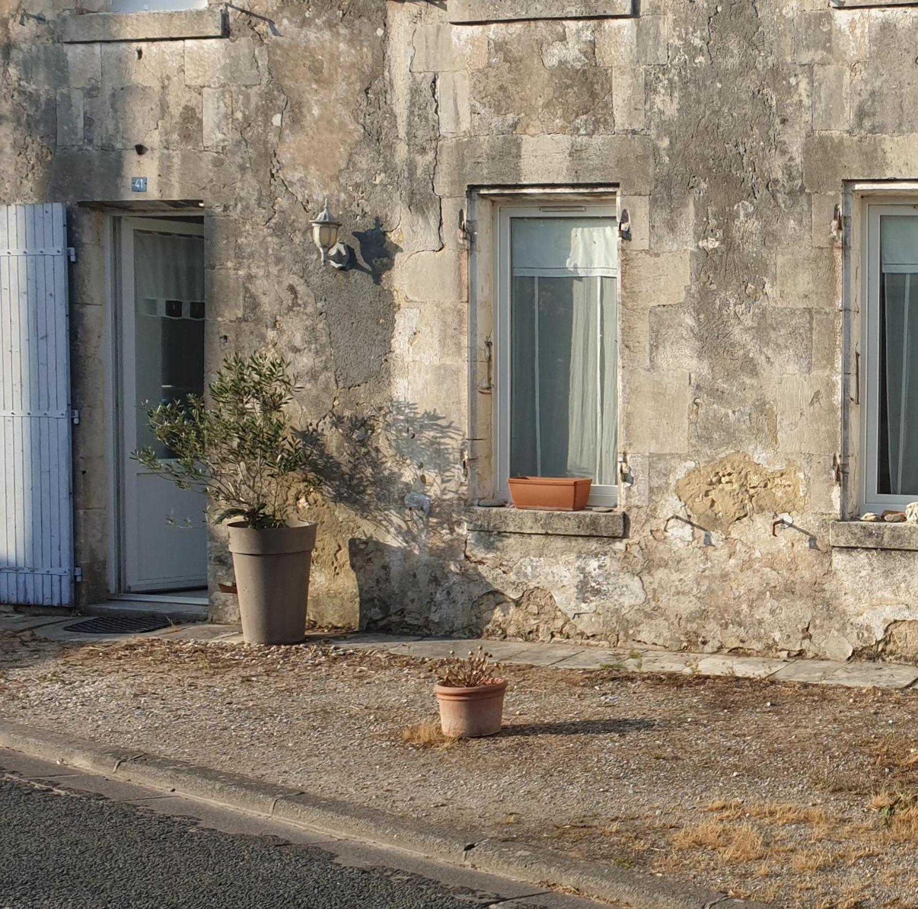 Balade En Estuaire Apartment Nieulle-sur-Seudre ภายนอก รูปภาพ